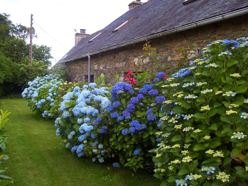 Le Boterff Gites Et Camping Saint-Mayeux Exterior photo